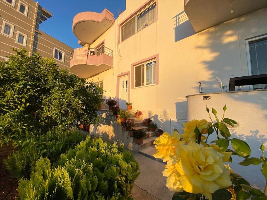 Guesthouse Xhimi 사밀 외부 사진