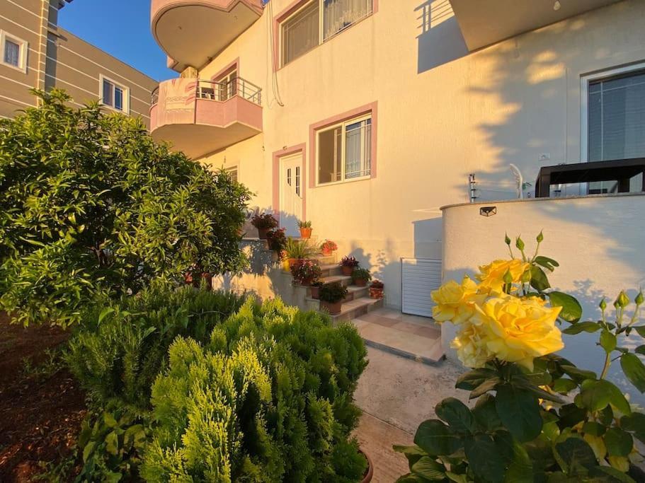 Guesthouse Xhimi 사밀 외부 사진