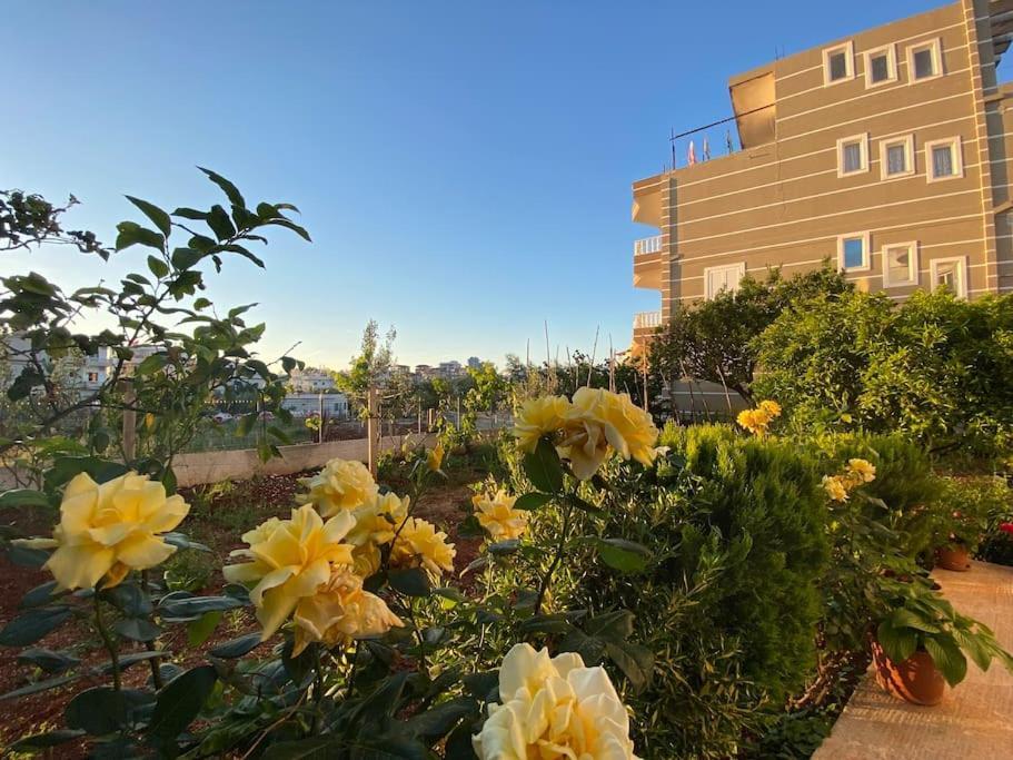 Guesthouse Xhimi 사밀 외부 사진