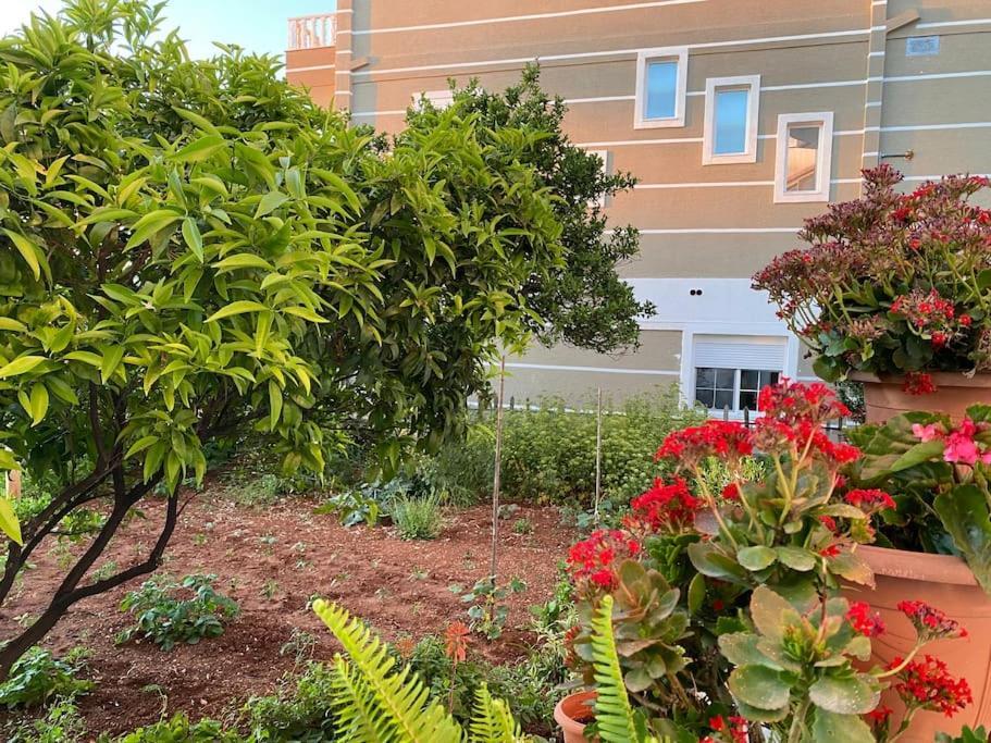 Guesthouse Xhimi 사밀 외부 사진